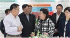 市委副書記、代市長艾麗華來我公司考察、調(diào)研